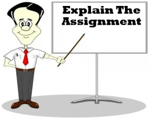 Explain the Assignment